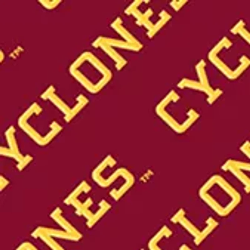 YouTheFan NCAA Iowa State Cyclones Licensed Memory Match Game