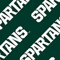 YouTheFan NCAA Michigan State Spartans Licensed Memory Match Game