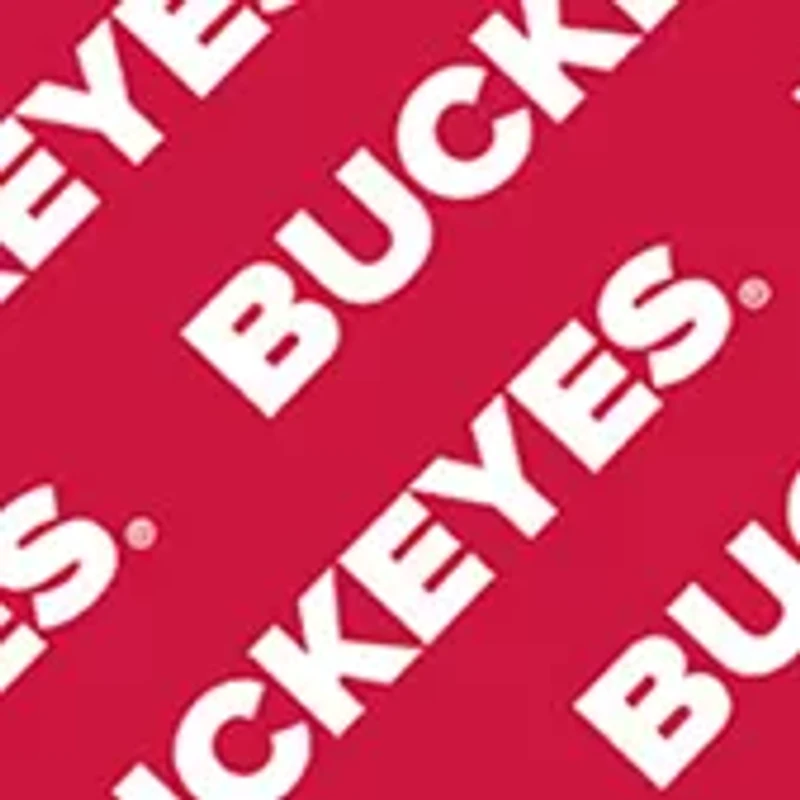 YouTheFan NCAA Ohio State Buckeyes Licensed Memory Match Game