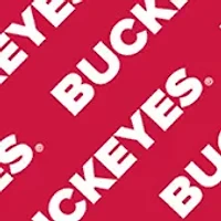 YouTheFan NCAA Ohio State Buckeyes Licensed Memory Match Game