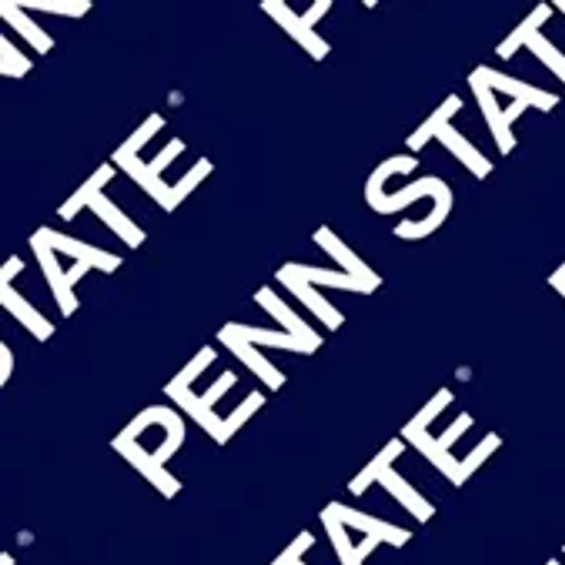 YouTheFan NCAA Penn State Nittany Lions Licensed Memory Match Game