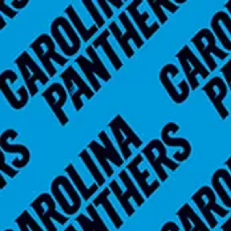 YouTheFan NFL Carolina Panthers Licensed Memory Match Game