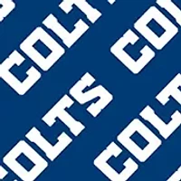 YouTheFan NFL Indianapolis Colts Licensed Memory Match Game