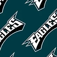 YouTheFan NFL Philadelphia Eagles Licensed Memory Match Game