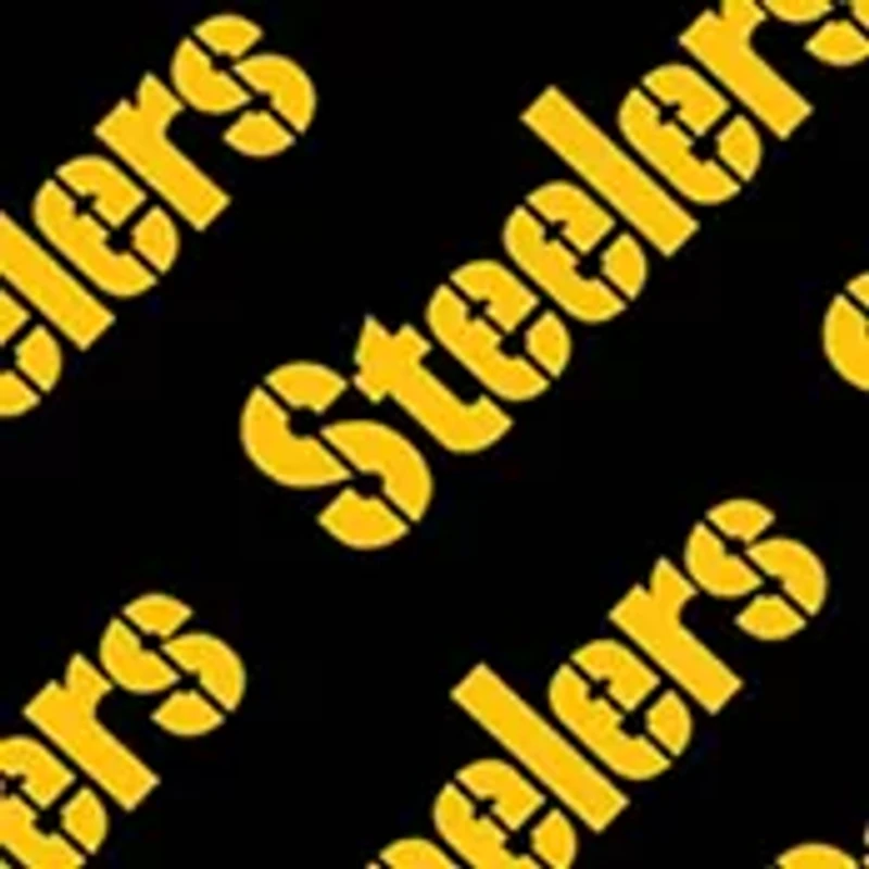YouTheFan NFL Pittsburgh Steelers Licensed Memory Match Game