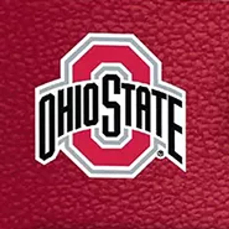 YouTheFan NCAA Ohio State Buckeyes Game Day in the Dog House 1000pc Puzzle
