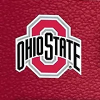 YouTheFan NCAA Ohio State Buckeyes Game Day in the Dog House 1000pc Puzzle