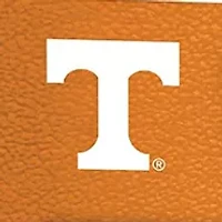YouTheFan NCAA Tennessee Volunteers Game Day in the Dog House 1000pc Puzzle