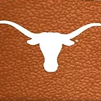 YouTheFan NCAA Texas Longhorns Game Day in the Dog House 1000pc Puzzle