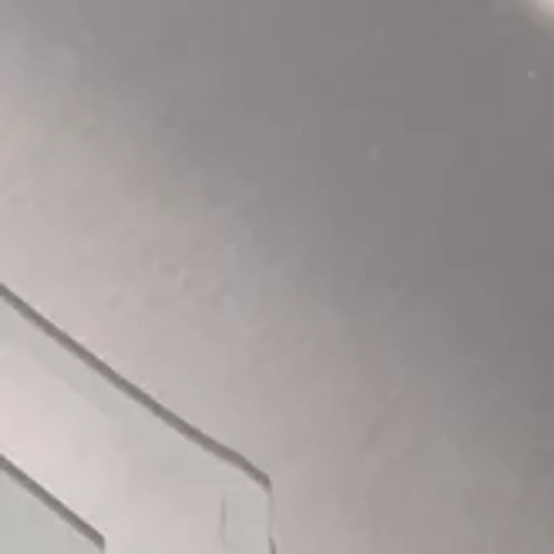 YouTheFan MLB San Francisco Giants Spirit Series Sportula