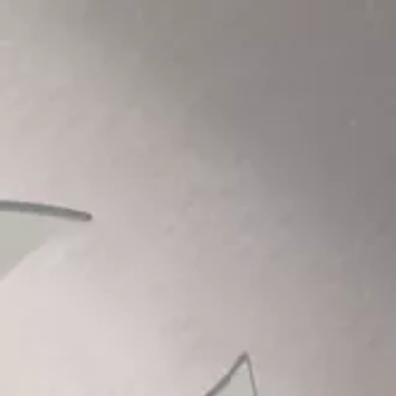 YouTheFan MLB New York Yankees Spirit Series Sportula