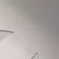 YouTheFan MLB New York Yankees Spirit Series Sportula