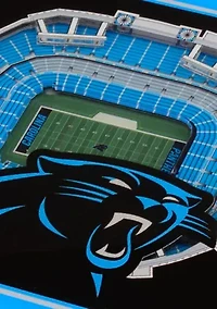 YouTheFan NFL Carolina Panthers 3D StadiumView Coasters - Bank of America Stadium