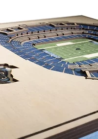 YouTheFan NFL Carolina Panthers 5-Layer StadiumView 3D Wall Art - Bank of America Stadium