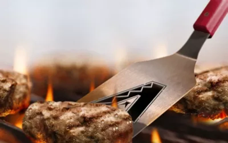 YouTheFan MLB Arizona Diamondbacks Spirit Series Sportula