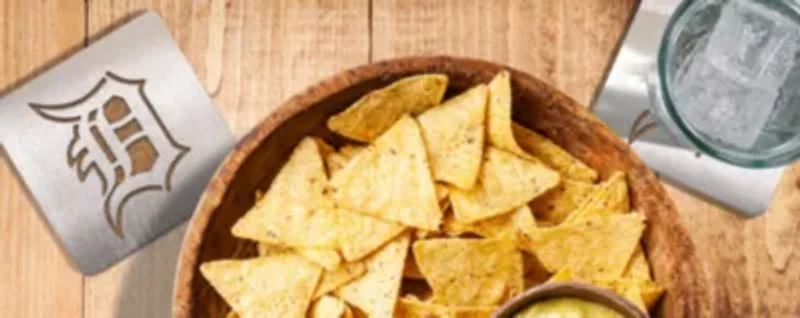 YouTheFan MLB Detroit Tigers Boasters, 4-Piece Coaster Set