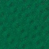 YouTheFan MLB Texas Rangers 3D StadiumView Picture Frame - Globe Life Park in Arlington