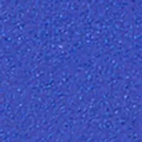 YouTheFan NCAA Florida Gators 3D Logo Series Magnets