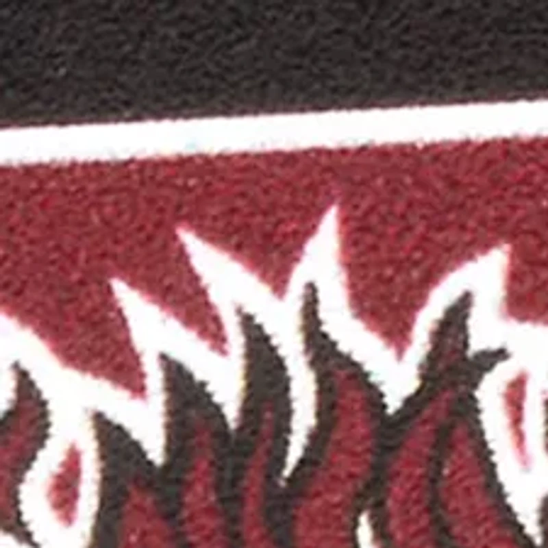 YouTheFan NCAA South Carolina Gamecocks 3D Logo Series Magnets