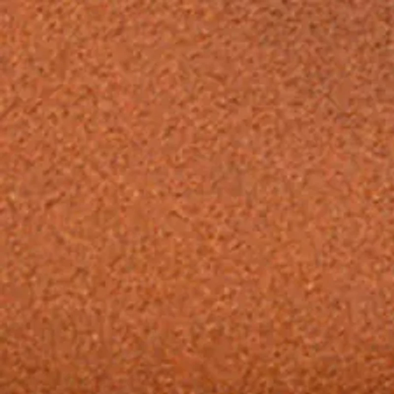 YouTheFan NCAA Texas Longhorns 3D Logo Series Magnets