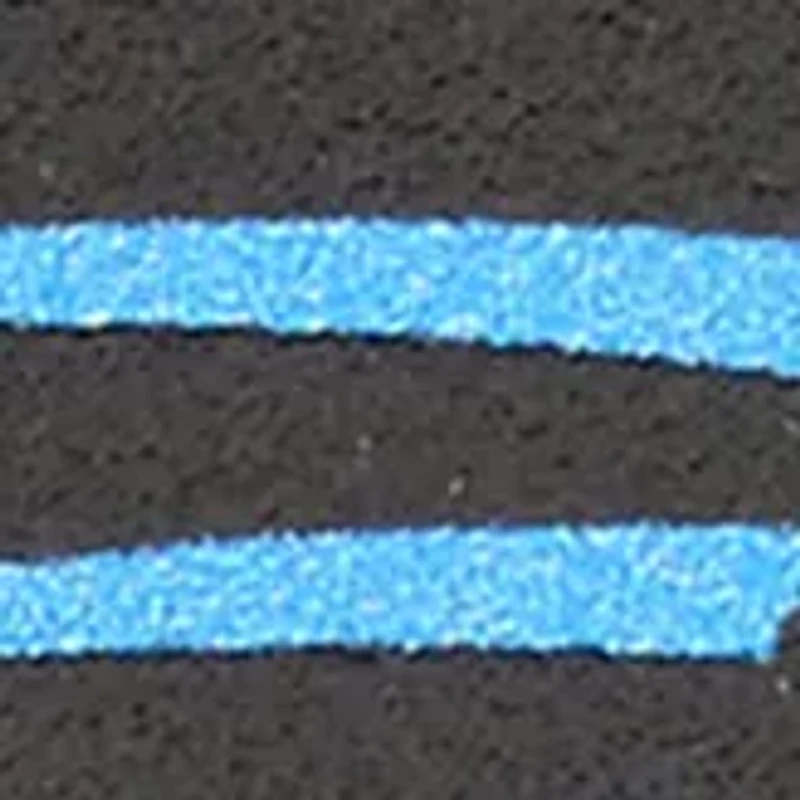 YouTheFan NFL Carolina Panthers 3D Logo Series Magnets