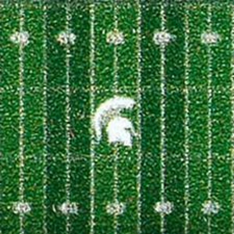 YouTheFan NCAA Michigan State Spartans 3D StadiumView Ornament - Spartan Stadium