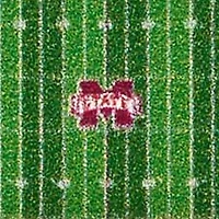 YouTheFan NCAA Mississippi State Bulldogs 3D StadiumView Ornament - Davis Wade Stadium at Scott Field