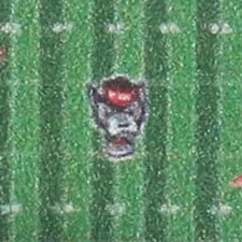 YouTheFan NCAA NC State Wolfpack 3D StadiumView Ornament - Carter-Finley Stadium