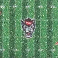 YouTheFan NCAA NC State Wolfpack 3D StadiumView Ornament - Carter-Finley Stadium