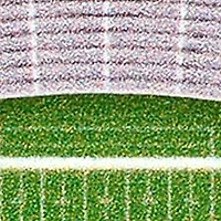 YouTheFan NCAA West Virginia Mountaineers 3D StadiumView Ornament - Milan Puskar Stadium