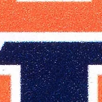 YouTheFan NCAA Auburn Tigers 3D Logo Series Ornaments