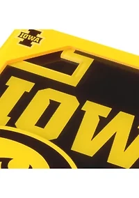 YouTheFan NCAA Iowa Hawkeyes 3D Logo Series Coasters