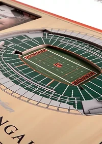 YouTheFan NFL Cincinnati Bengals 3D StadiumView Picture Frame - Paul Brown Stadium
