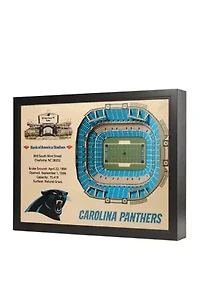 YouTheFan NFL Carolina Panthers 25-Layer StadiumViews 3D Wall Art - Bank of America Stadium