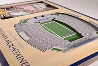 YouTheFan NCAA West Virginia Mountaineers 3D StadiumView Picture Frame - Milan Puskar Stadium