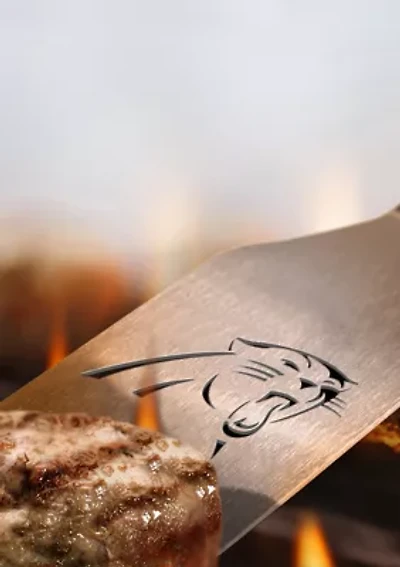 YouTheFan NFL Carolina Panthers Spirit Series Sportula