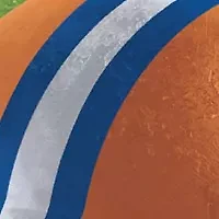 YouTheFan NCAA Florida Gators Retro Series 500pc Puzzle