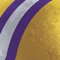 YouTheFan NCAA LSU Tigers Retro Series 500pc Puzzle