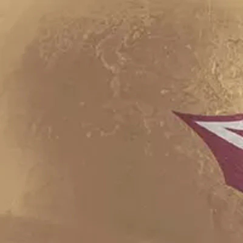 YouTheFan NCAA Florida State Seminoles Retro Series 500pc Puzzle