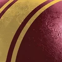 YouTheFan NCAA Minnesota Golden Gophers Retro Series 500pc Puzzle