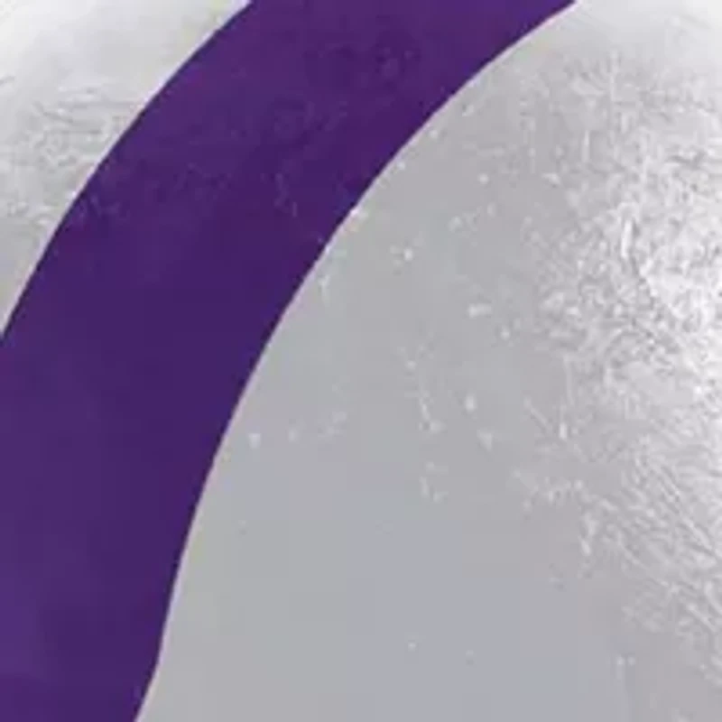 YouTheFan NCAA TCU Horned Frogs Retro Series 500pc Puzzle