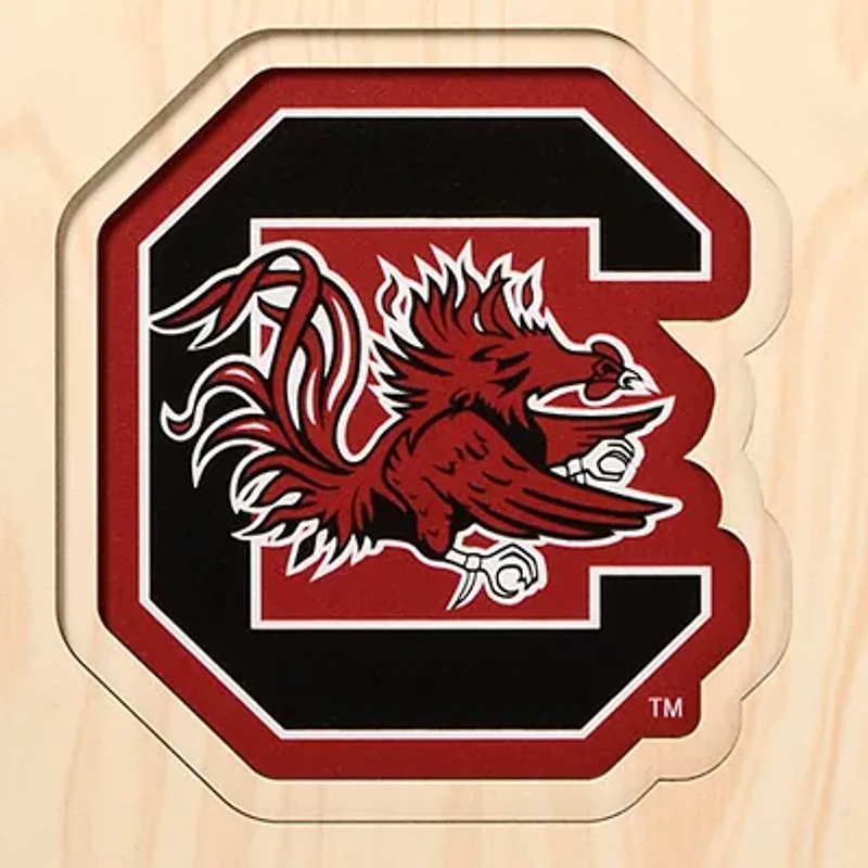 YouTheFan NCAA South Carolina Gamecocks 3D Stadium 8x32 Banner - Brice Stadium