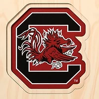 YouTheFan NCAA South Carolina Gamecocks 3D Stadium 8x32 Banner - Brice Stadium