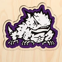 YouTheFan NCAA TCU Horned Frogs 3D Stadium 8x32 Banner - Amon G. Carter Stadium