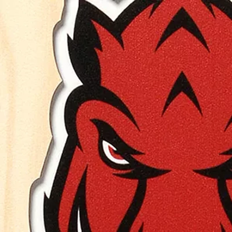 YouTheFan NCAA Arkansas Razorbacks 3D Stadium 6x19 Banner - Donald W. Reynolds Razorback Stadium