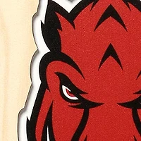 YouTheFan NCAA Arkansas Razorbacks 3D Stadium 6x19 Banner - Donald W. Reynolds Razorback Stadium