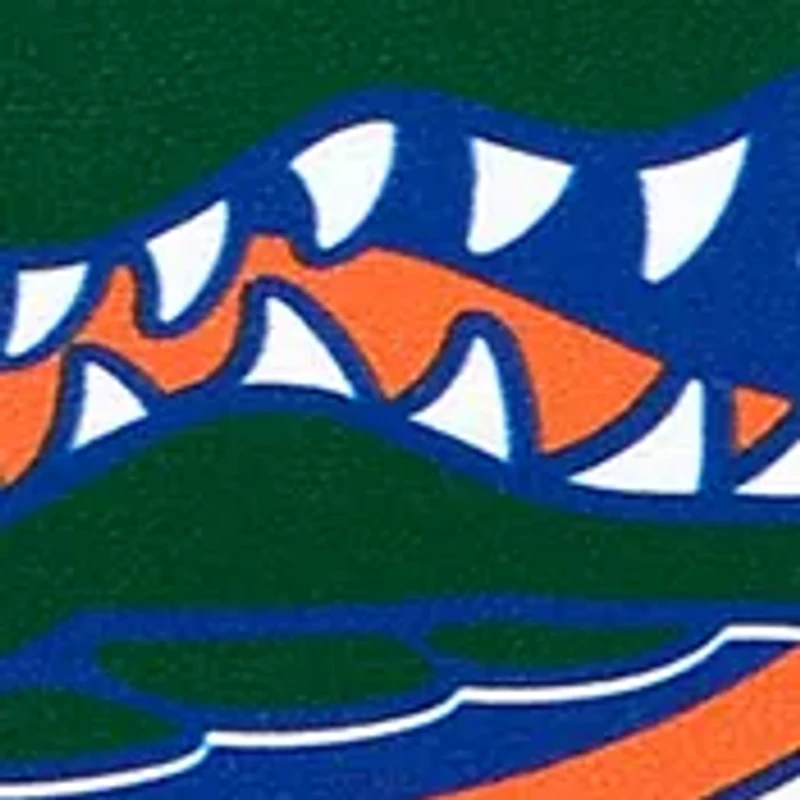 YouTheFan NCAA Florida Gators 3D Stadium 6x19 Banner - Ben Hill Griffin Stadium