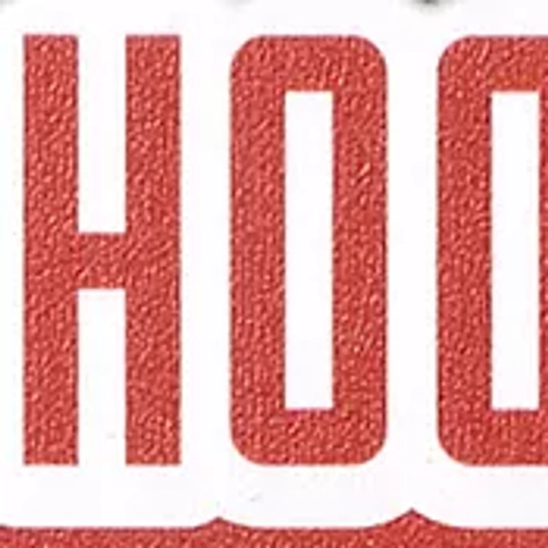 YouTheFan NCAA Indiana Hoosiers 3D Stadium 6x19 Banner - Assembly Hall