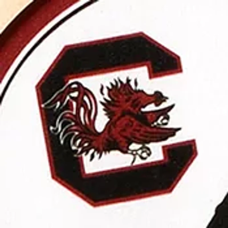YouTheFan NCAA South Carolina Gamecocks 3D Stadium 6x19 Banner - Brice Stadium