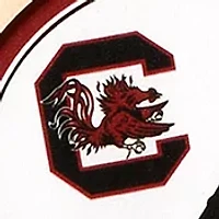 YouTheFan NCAA South Carolina Gamecocks 3D Stadium 6x19 Banner - Brice Stadium